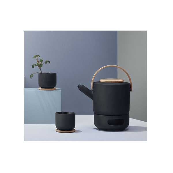 effectief Autorisatie teleurstellen Stelton Theo Theepot 1,25L Gietijzer Zwart X-630 | Bobplaza